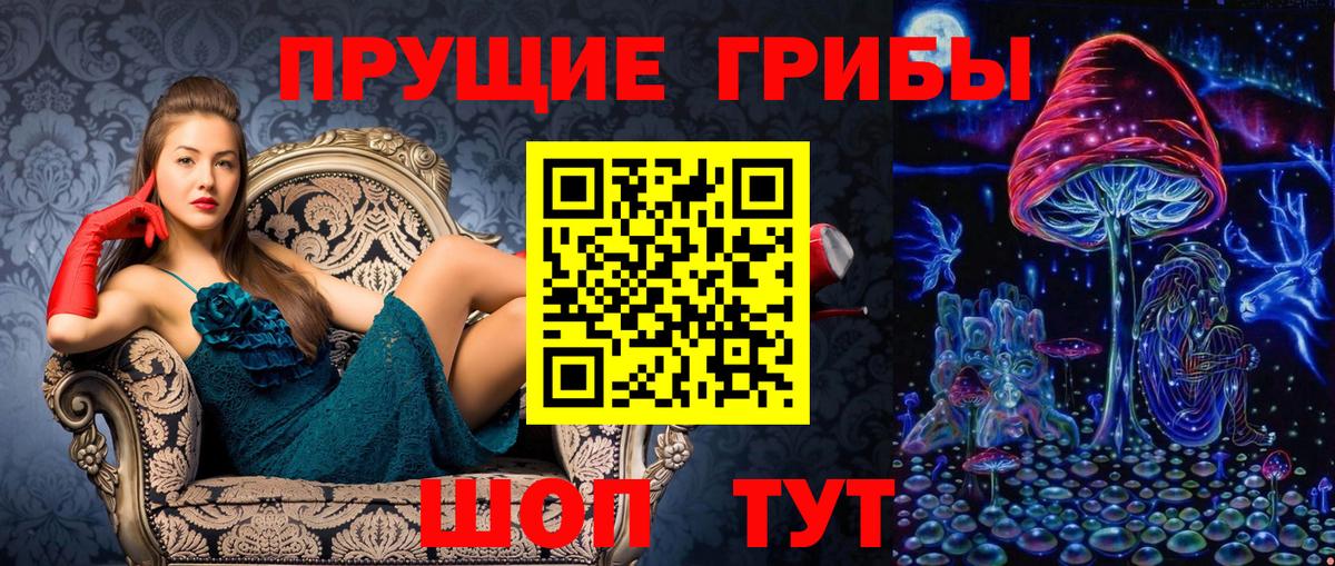 Псилоцибиновые грибы Psilocybe Сунжа