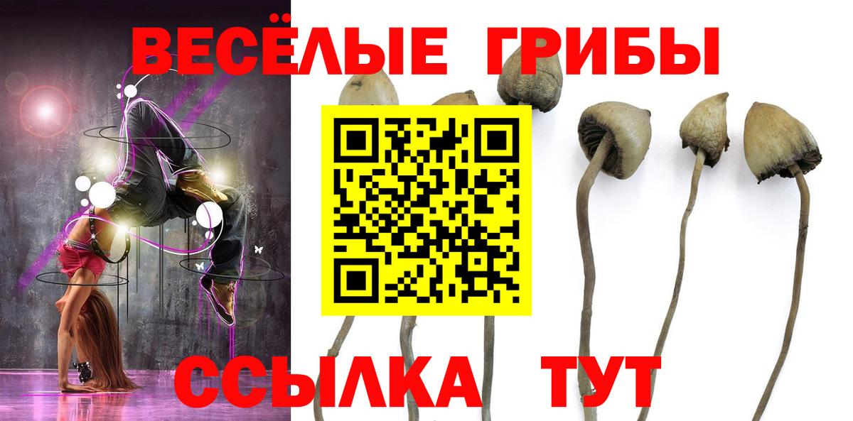 Псилоцибиновые грибы ЛСД  Псилоцибиновые грибы ЛСД  Сунжа  Вход с VPN 
